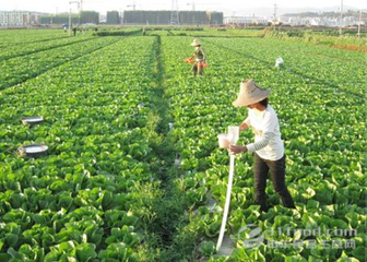 24種作物需肥特性總結！